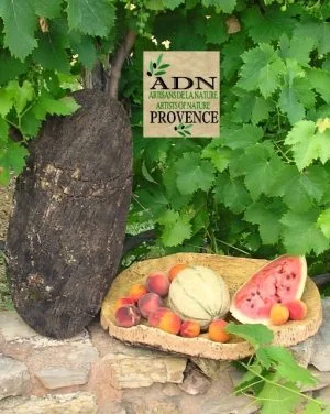Plat en Liège grand - Couasse 52-60x25-30 cm env.